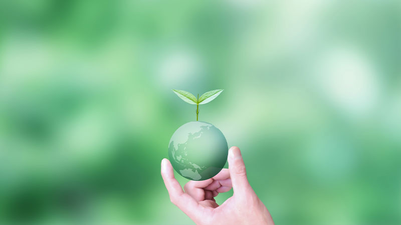 天然素材もあるため、環境に優しい